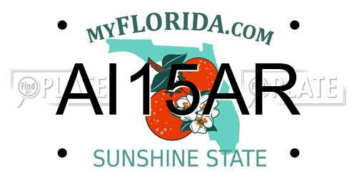 AI15AR Florida License Plate