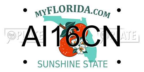 AI16CN Florida License Plate