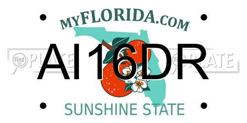 AI16DR Florida License Plate