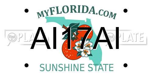 AI17AI Florida License Plate