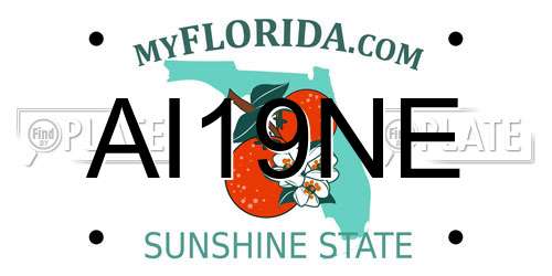 AI19NE Florida License Plate