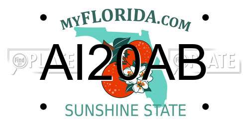AI20AB Florida License Plate