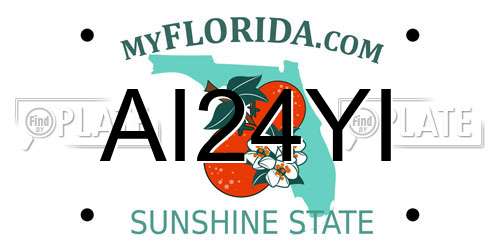 AI24YI Florida License Plate