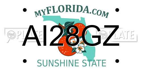 AI28GZ Florida License Plate