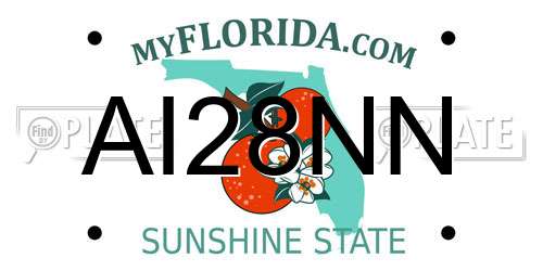 AI28NN Florida License Plate