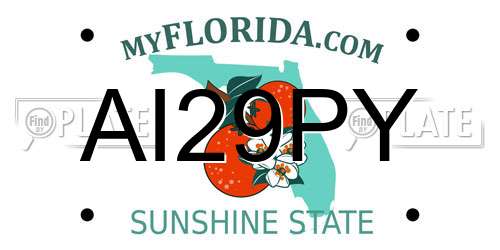 AI29PY Florida License Plate