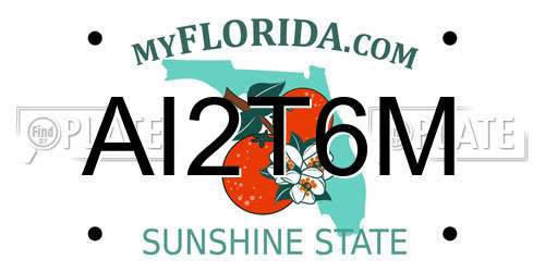 AI2T6M Florida License Plate