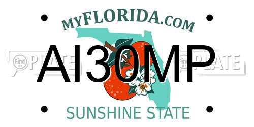 AI30MP Florida License Plate