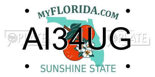 AI34UG Florida License Plate