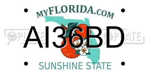 AI36BD Florida License Plate