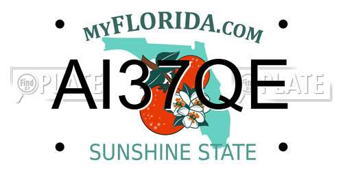 AI37QE Florida License Plate