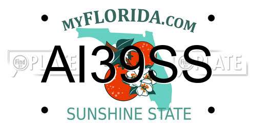 AI39SS Florida License Plate