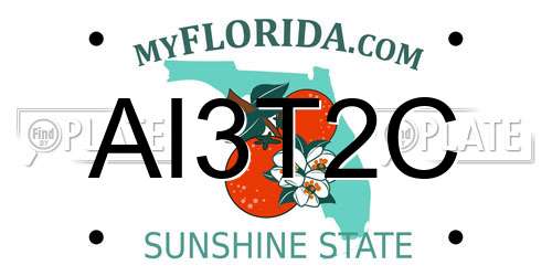 AI3T2C Florida License Plate