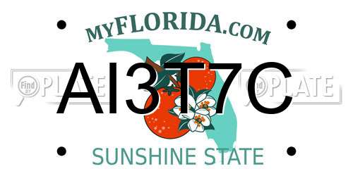 AI3T7C Florida License Plate