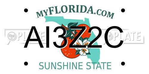 AI3Z2C Florida License Plate