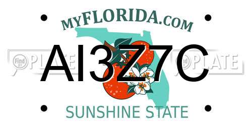 AI3Z7C Florida License Plate