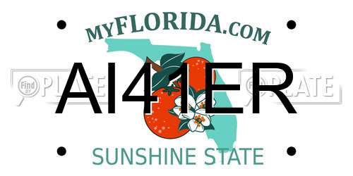 AI41ER Florida License Plate