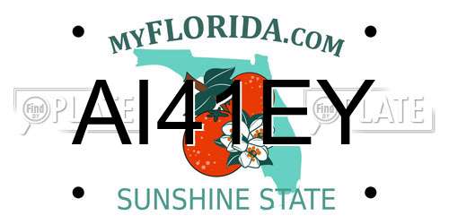 AI41EY Florida License Plate