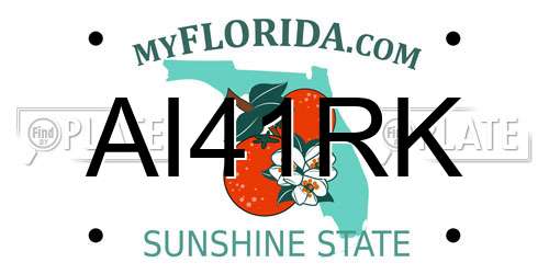 AI41RK Florida License Plate
