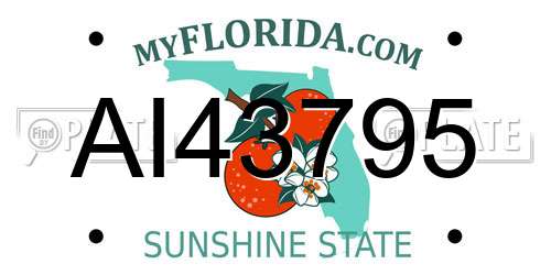 AI43795 Florida License Plate