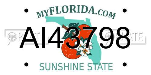 AI43798 Florida License Plate