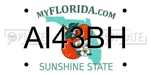 AI43BH Florida License Plate