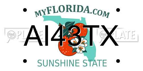 AI43TX Florida License Plate