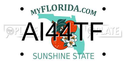 AI44TF Florida License Plate