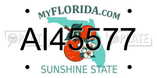 AI45577 Florida License Plate