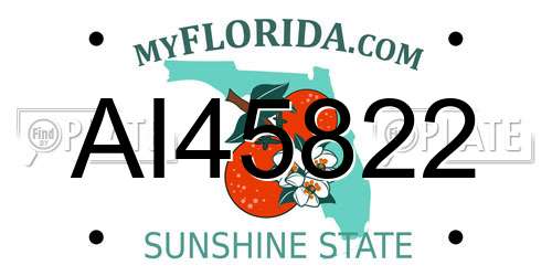 AI45822 Florida License Plate