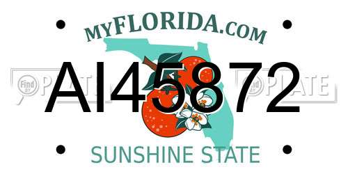 AI45872 Florida License Plate