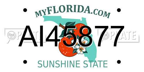 AI45877 Florida License Plate