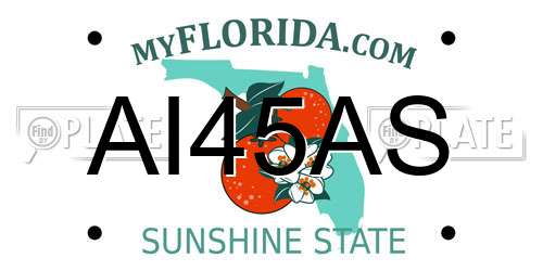 AI45AS Florida License Plate