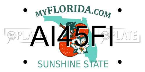 AI45FI Florida License Plate
