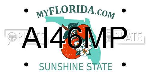 AI46MP Florida License Plate