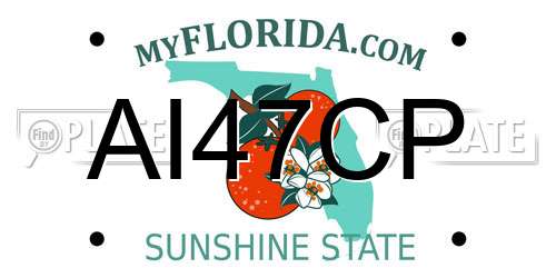 AI47CP Florida License Plate