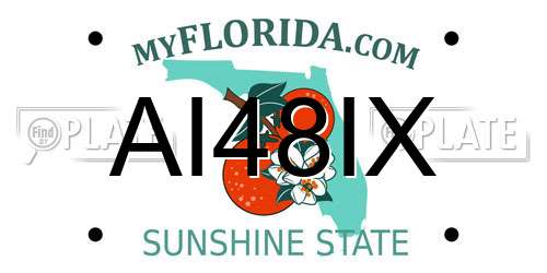 AI48IX Florida License Plate