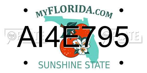 AI4E795 Florida License Plate