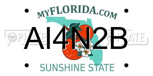 AI4N2B Florida License Plate