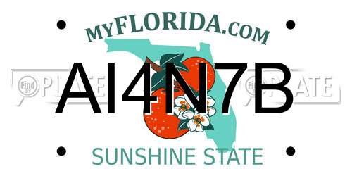 AI4N7B Florida License Plate