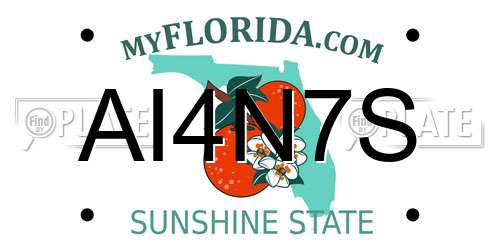 AI4N7S Florida License Plate