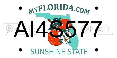 AI4S577 Florida License Plate
