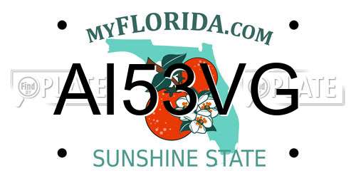 AI53VG Florida License Plate
