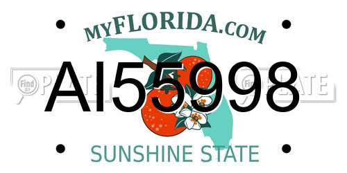 AI55998 Florida License Plate