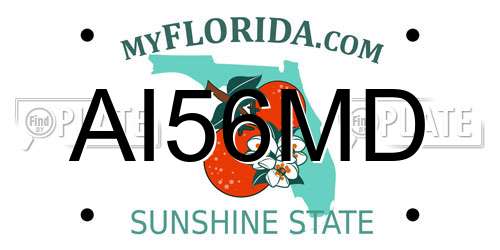 AI56MD Florida License Plate
