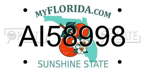 AI58998 Florida License Plate