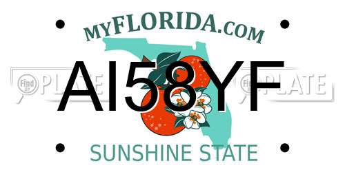 AI58YF Florida License Plate
