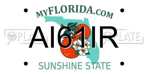 AI61IR Florida License Plate
