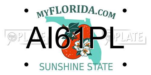 AI61PL Florida License Plate