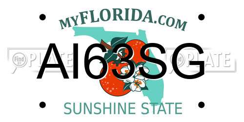 AI63SG Florida License Plate